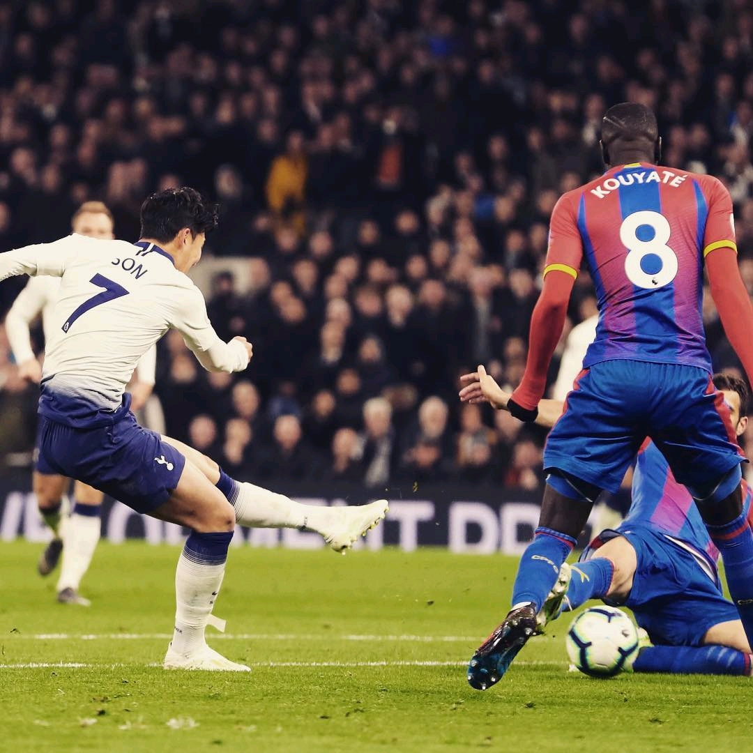 包括增加长 包括增加长